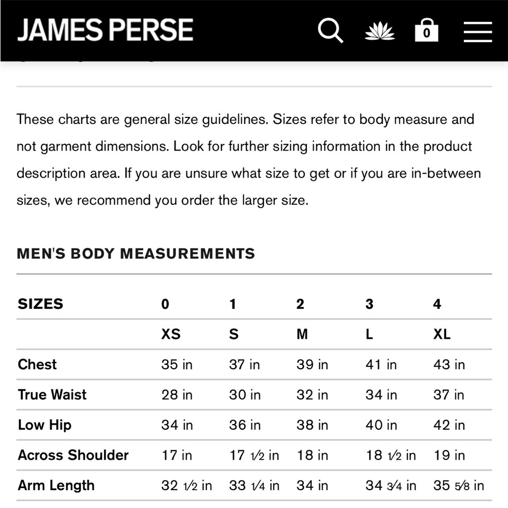 James Perse Promotional Concert Tee 4 (XL) - Picture 5 of 5